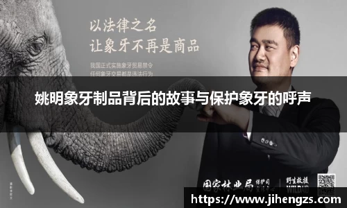 xk体育官网